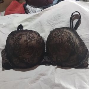Torrid Black and Brown Lace Bra